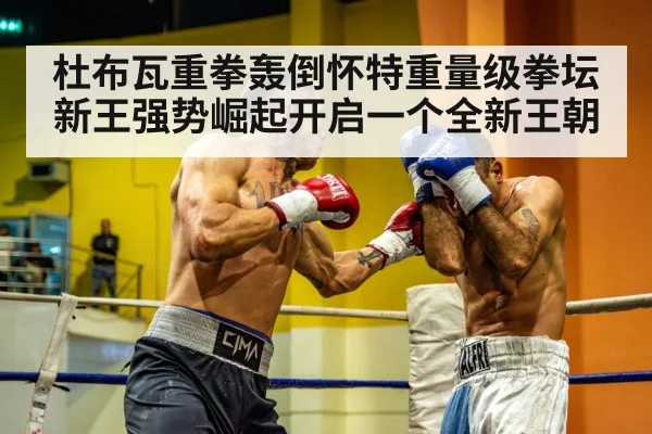 杜布瓦重拳轰倒怀特重量级拳坛新王强势崛起开启一个全新王朝