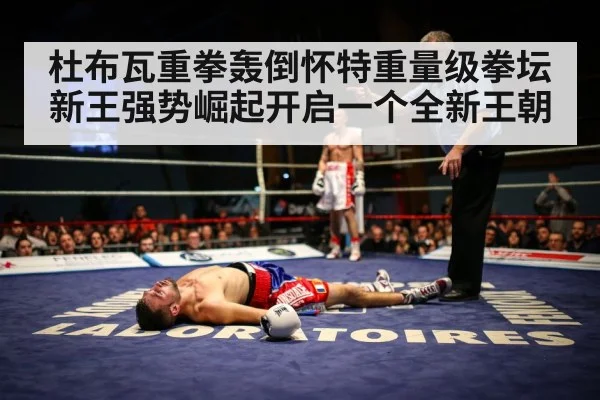 boxing knockout