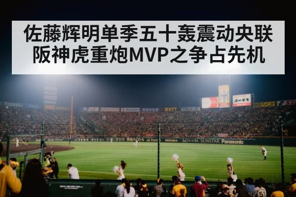 baseball stadium night crowd